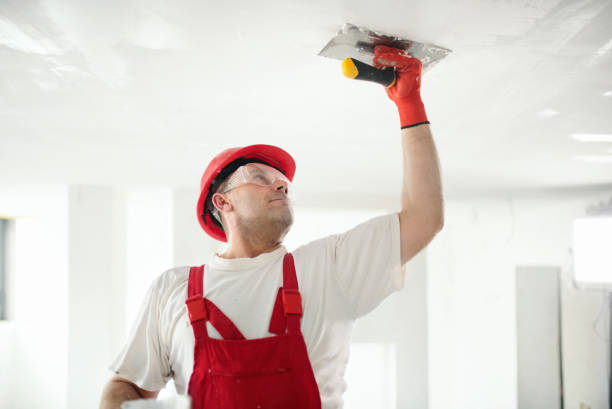 Best Drywall Removal and Disposal  in Zolfo Springs, FL